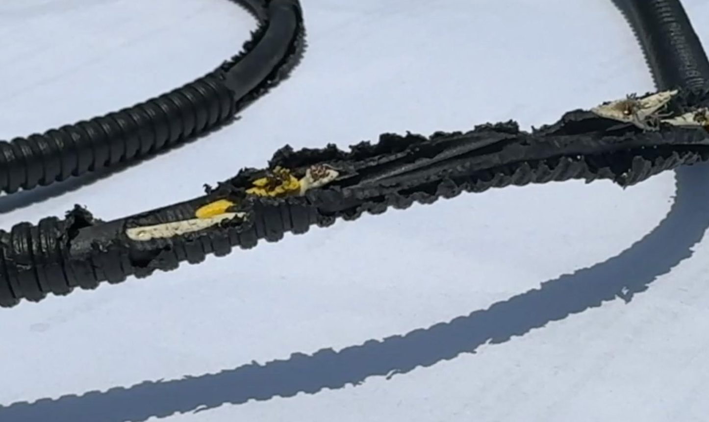 “Hyundai Palisade z 2023 roku to ulubiony samochód szczurów”