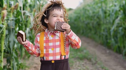 Kanadyjski producent lodów zapowiada rozbudowę fabryki w Ontario i utworzenie setek nowych miejsc pracy