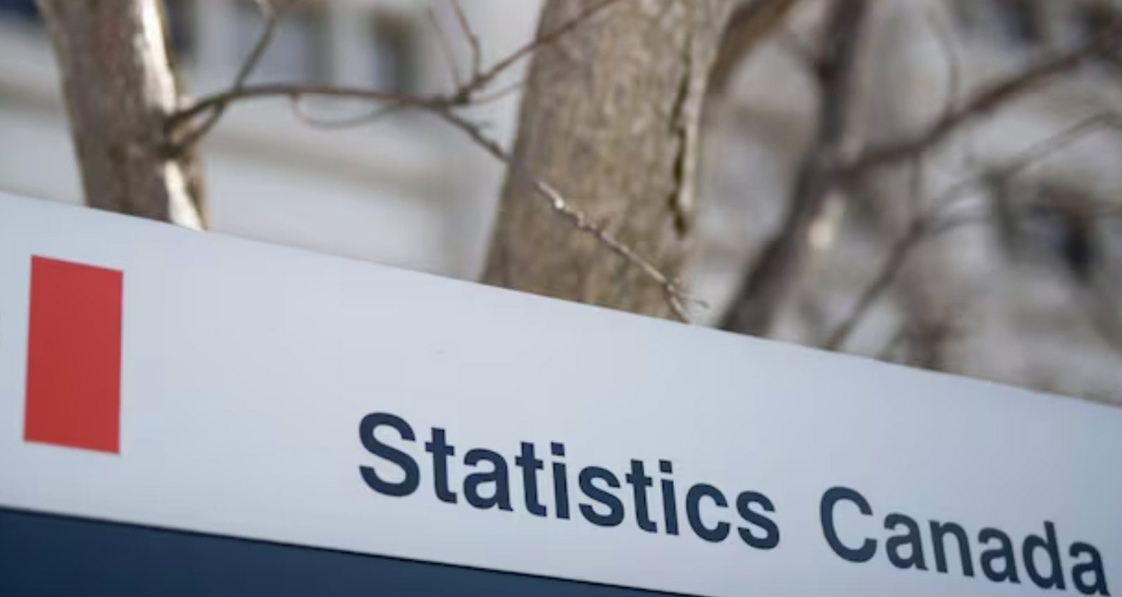 Statistics Canada szuka pracowników