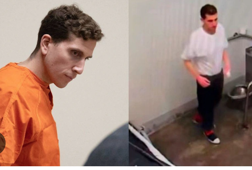 Ukradli alkohol wartości 85 tys. dolarów z LCBO