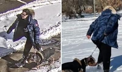 Patrycja Siarek z Toronto, której pies zaatakował dziecko, może trafić do więzienia