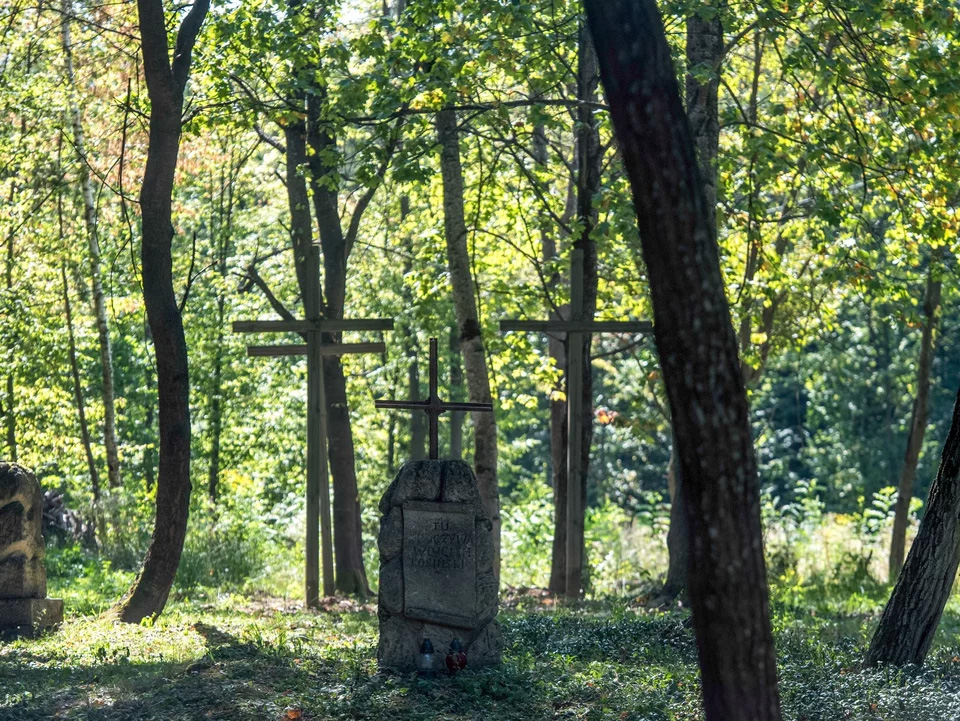 Nowy etap poszukiwań polskich ofiar na Wołyniu