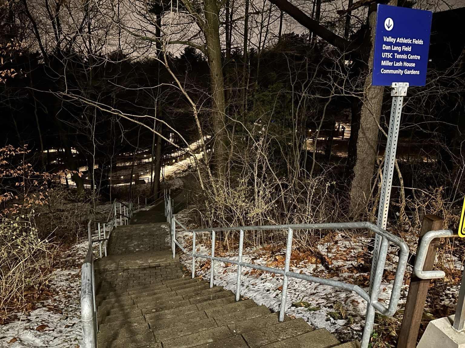 Śmiertelna strzelanina w pobliżu uniwersyteckiego kampusu