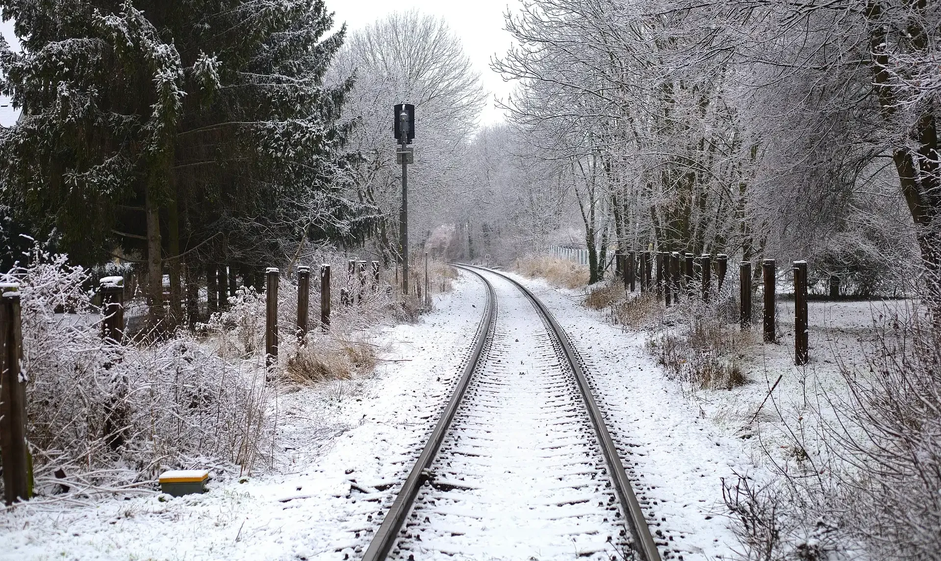 Portal Polaków w Kanadzie