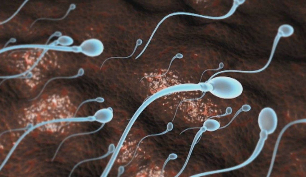 Prawie 200 dzieci poczętych z nasienia dawcy przenoszącego mutację genu powodującą raka