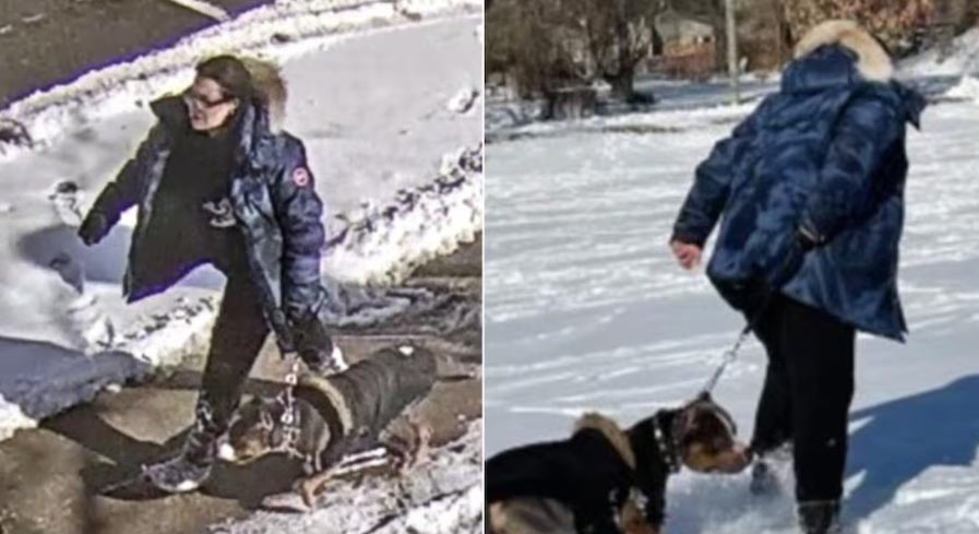 Patrycja Siarek z Toronto skazana na rok więzienia po ataku jej psa na dziecko