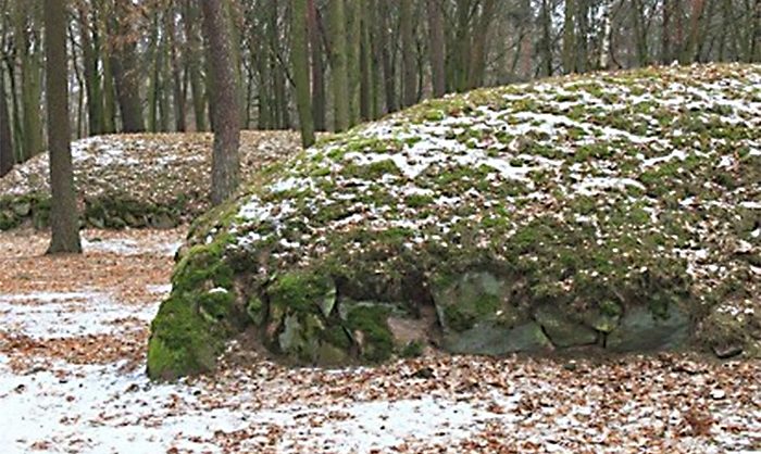 Portal Polaków w Kanadzie