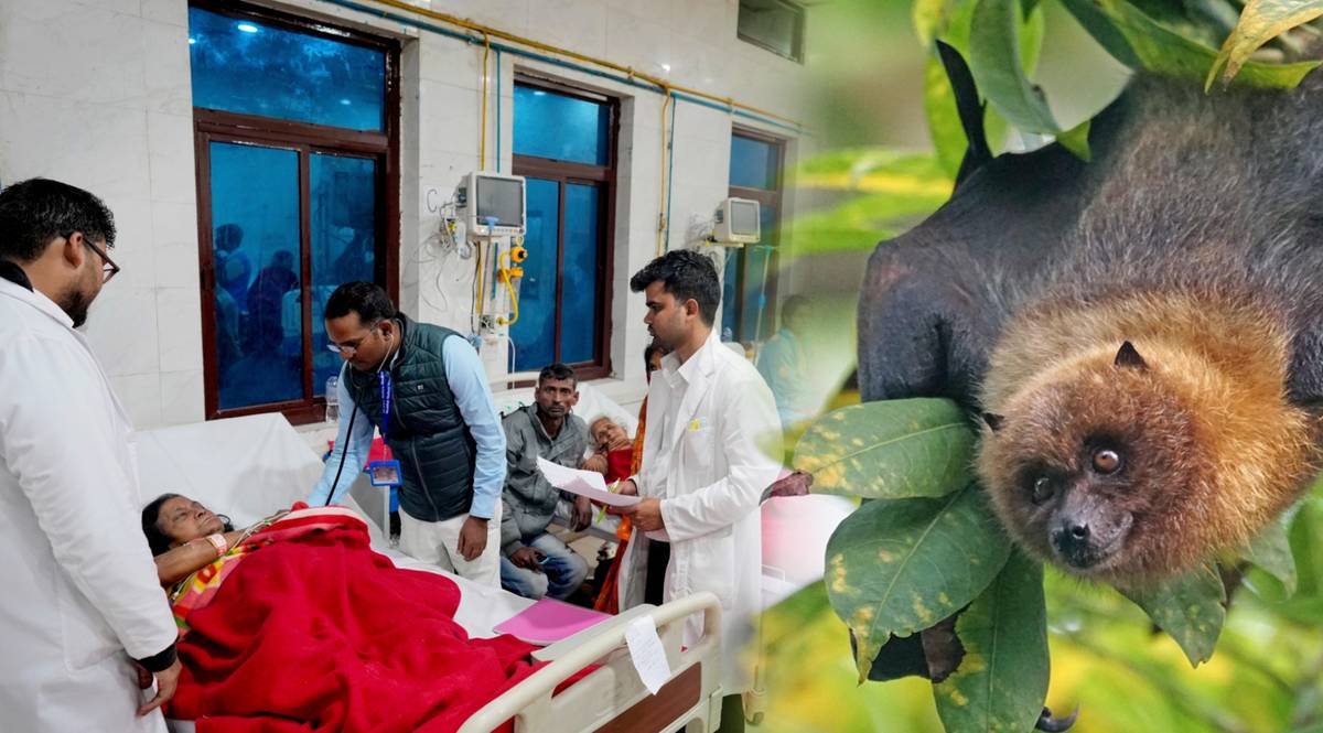 Indie alarmują. Śmiertelny wirus Nipah może wywołać epidemię