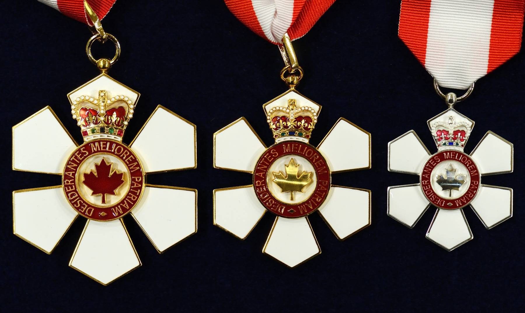 80 nowych osób odznaczonych Orderem Kanady