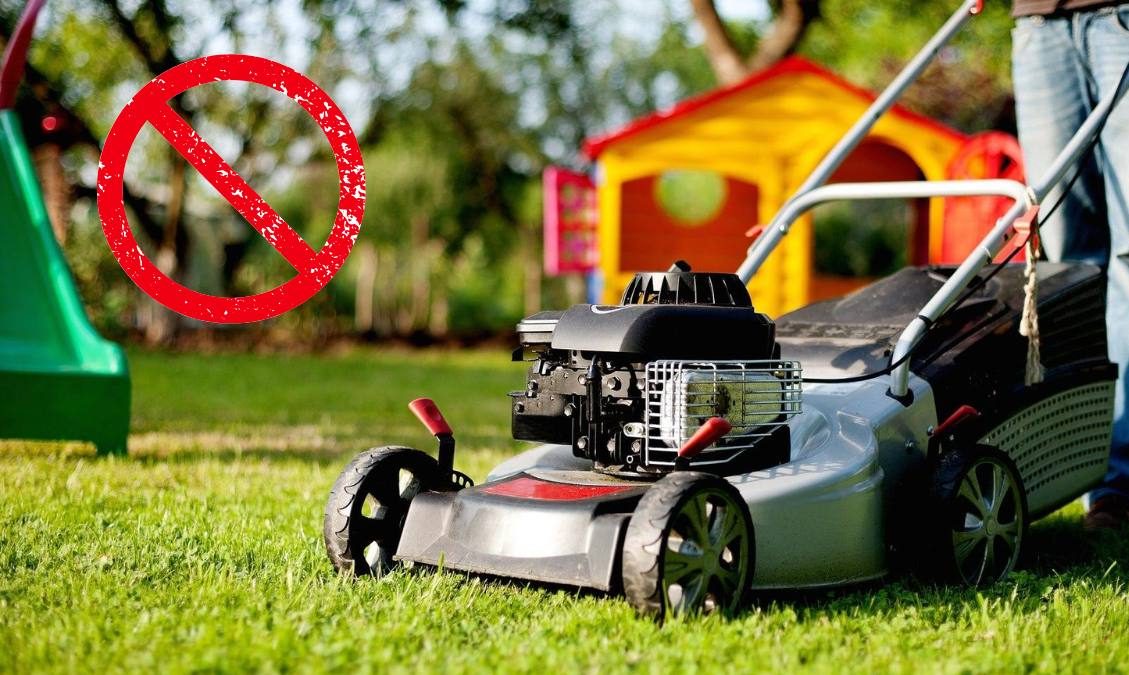 Mieszkaniec Mississaugi pozwał miasto do sądu – teraz nikt w Mississaudze nie musi kosić trawy