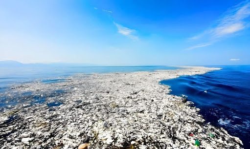 Najbardziej zanieczyszczony obszar oceaniczny na Ziemi, dziś stał się siedliskiem dla dziesiątek gatunków