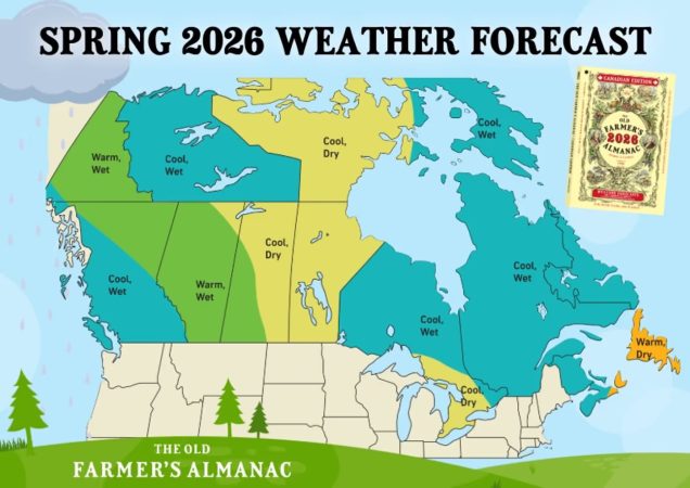 Na pocieszenie – choć chłodna, to wiosna coraz bliżej
