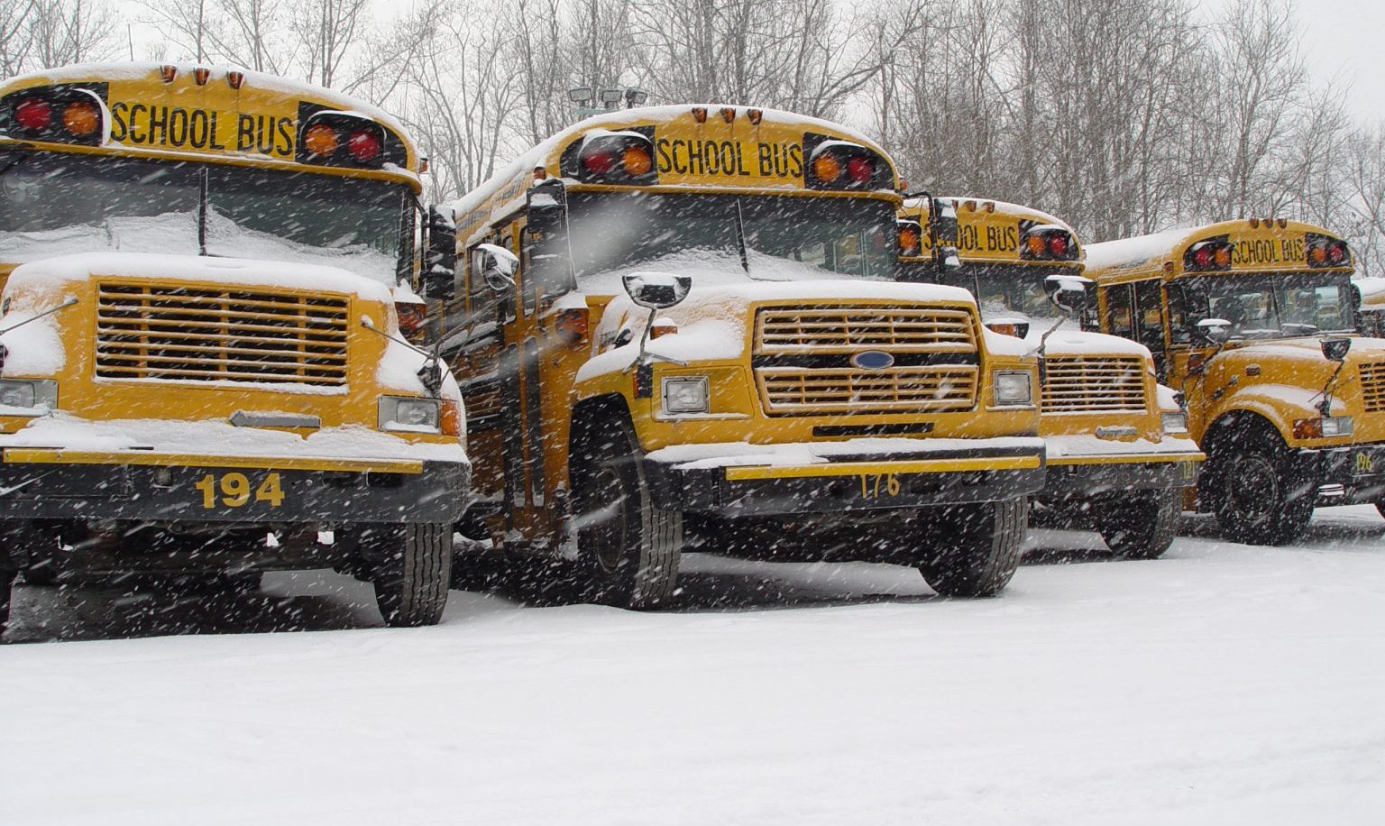 Portal Polaków w Kanadzie