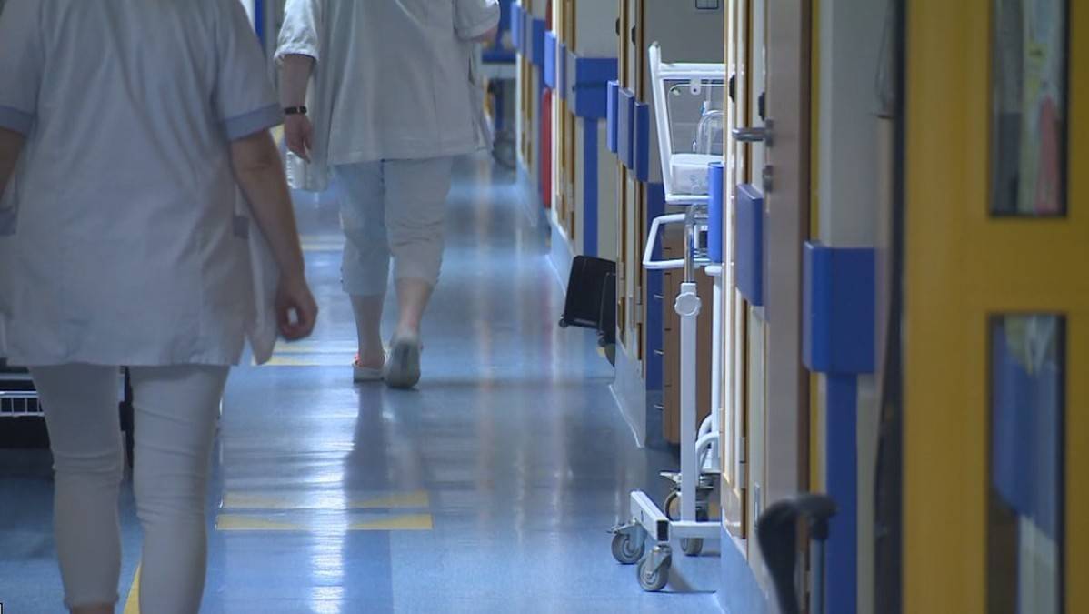 Tropikalny wirus w Krakowie