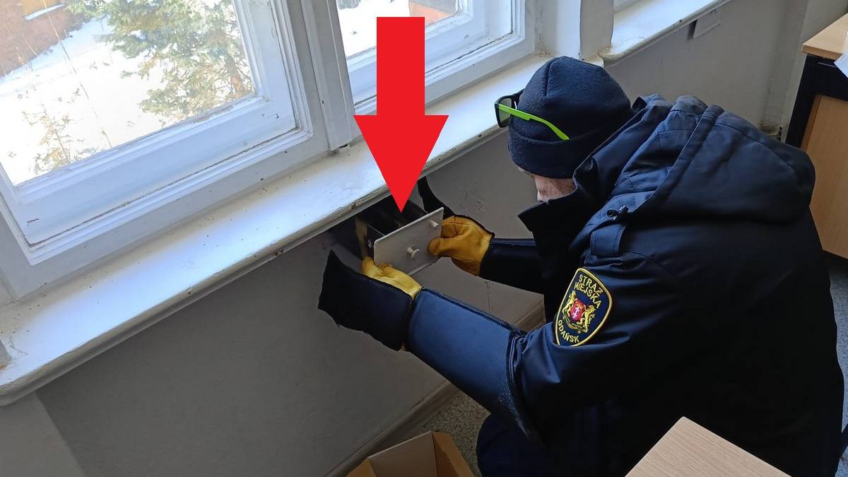 Zaskakujące odkrycie w gdańskiej szkole