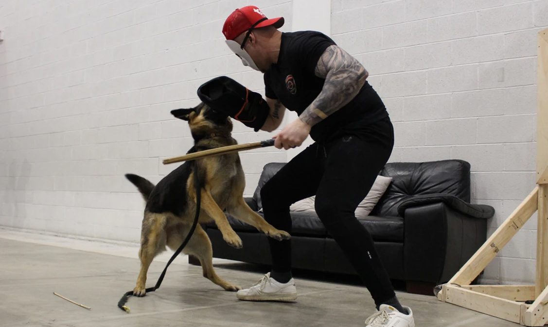 Jak się bronić przed włamaniem? Nowe szkolenia dla mieszkańców GTA