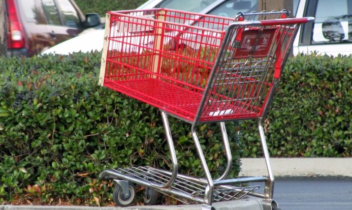 Miasto Brampton bedzie pobierać opłatę w wysokości 100 dolarów od sklepów za każdy porzucony wózek sklepowy