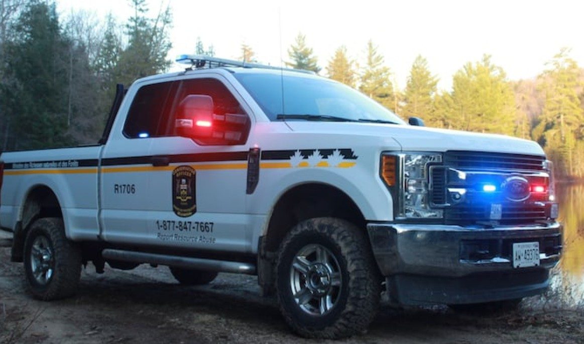 Mężczyzna z Ontario ukarany grzywną 5 tys. dolarów i rocznym zakazem połowu ryb za przekroczenie limitu okoni w Parku Algonquin