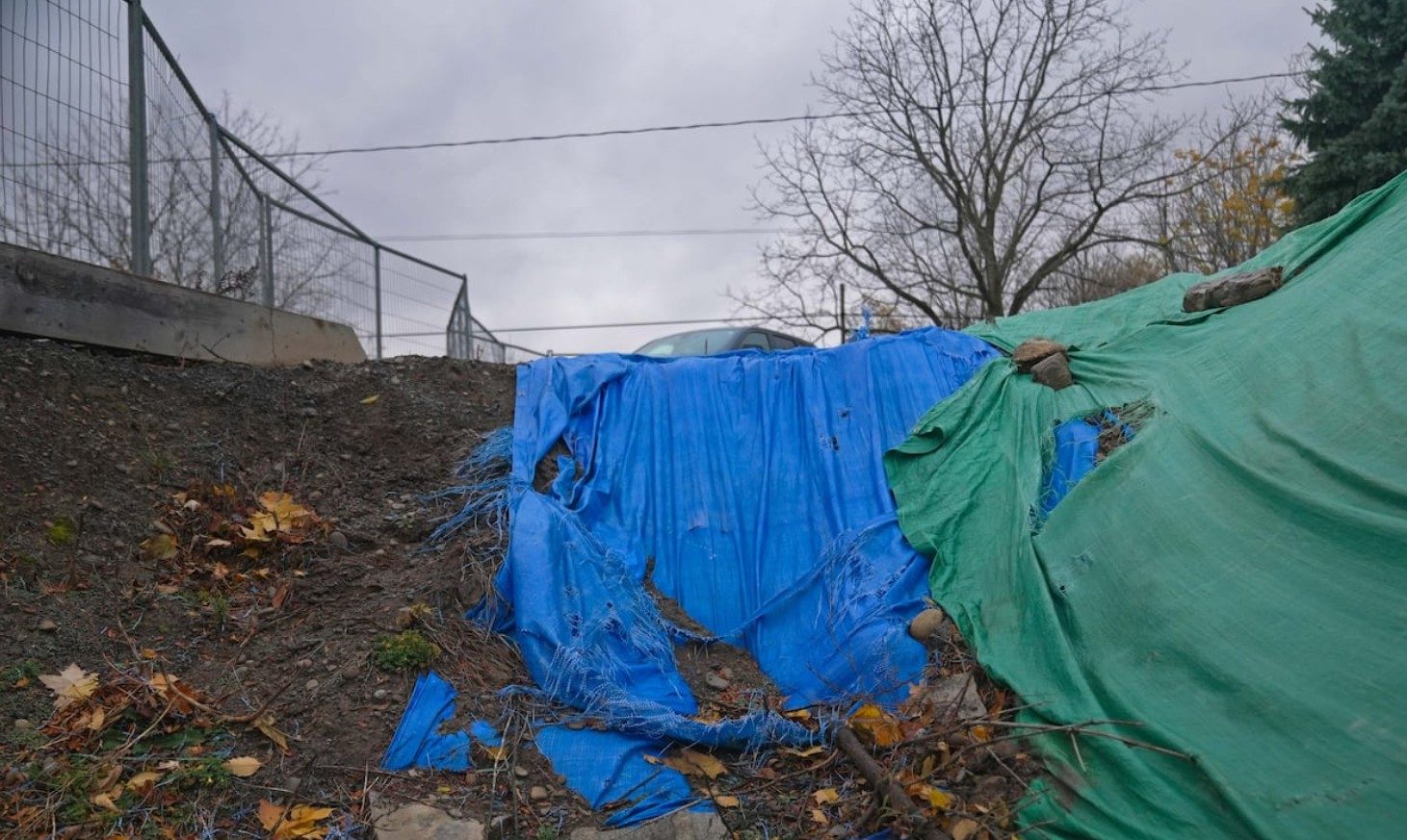 Małżeństwo może zapłacić setki tysięcy dolarów za odkrycie szczątków na ich działce