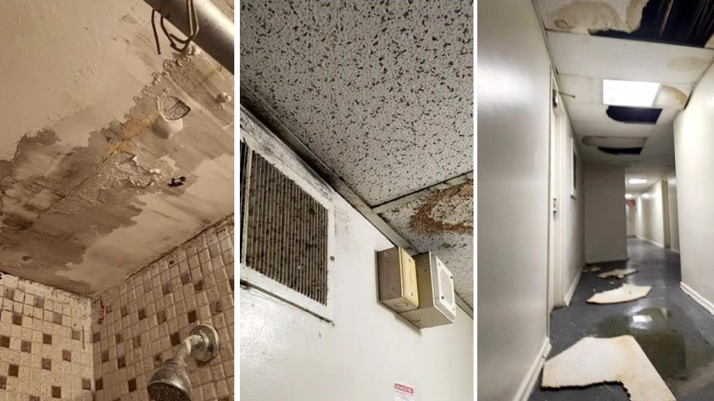 Miasto interweniuje po latach skarg lokatorów