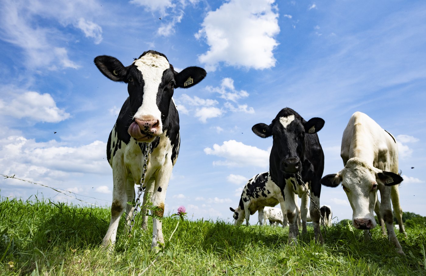 Rolnicy popierają ustawę przyspieszającą zatwierdzanie produktów