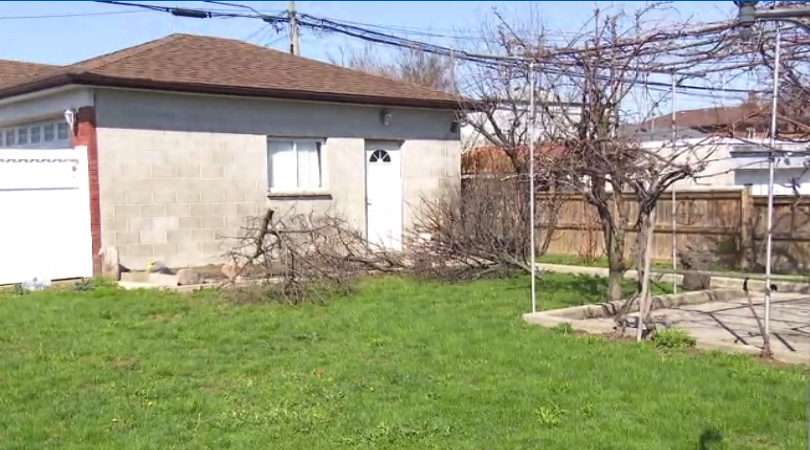 Nocna wycinka i brak pozwoleń. Mieszkańcy kontra deweloper