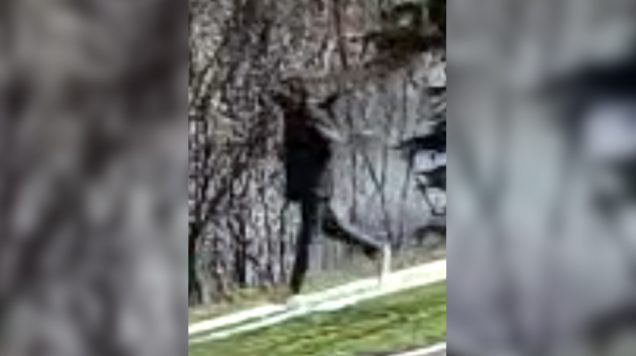 Kobieta zaatakowana w parku. Sprawca na wolności