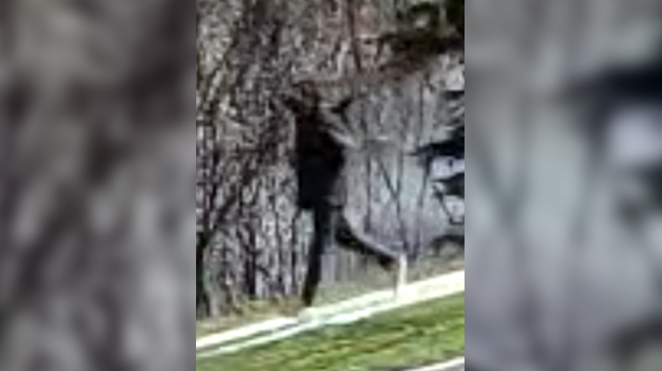 Kobieta zaatakowana w parku. Sprawca na wolności