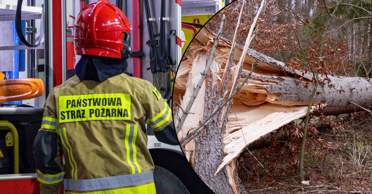 Potężne wichury nad Polską. Tysiące interwencji strażaków