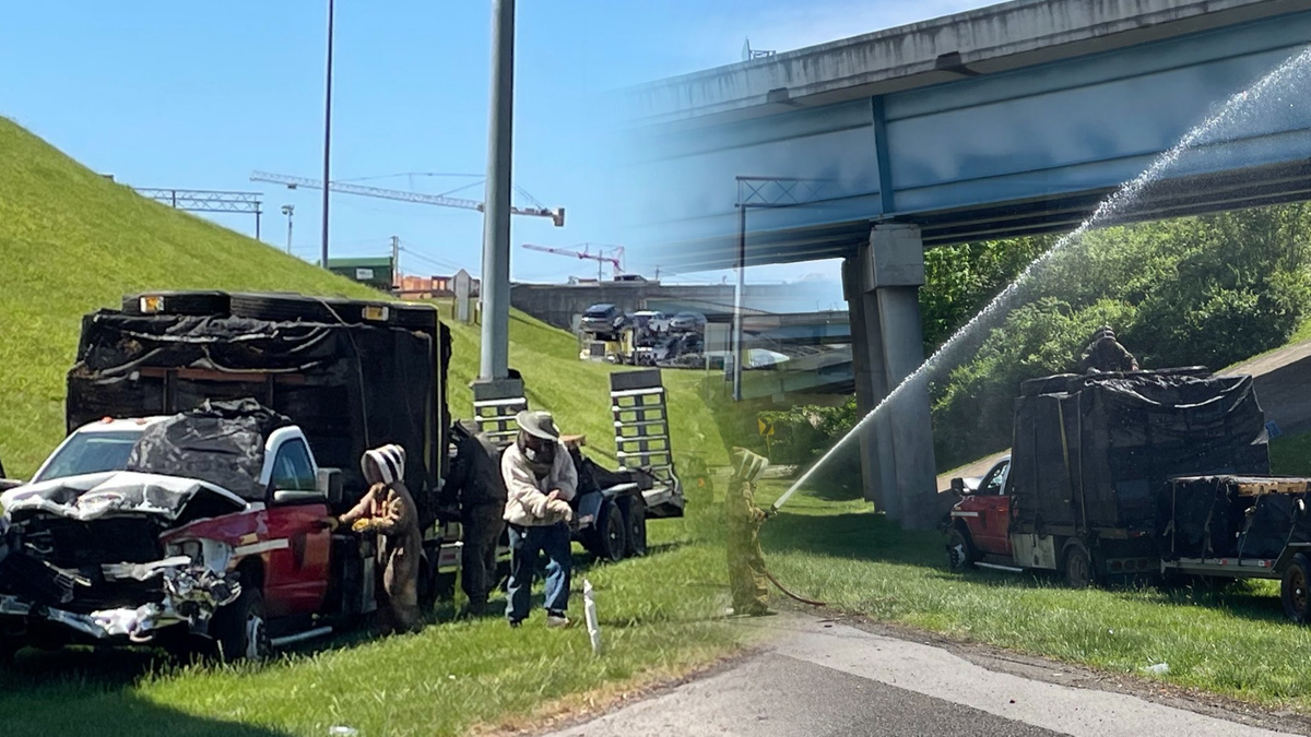 Milion pszczół na autostradzie po wypadku ciężarówki