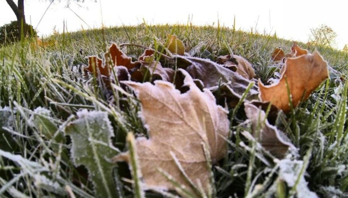 W Toronto prognozowane są temperatury w okolicach zera