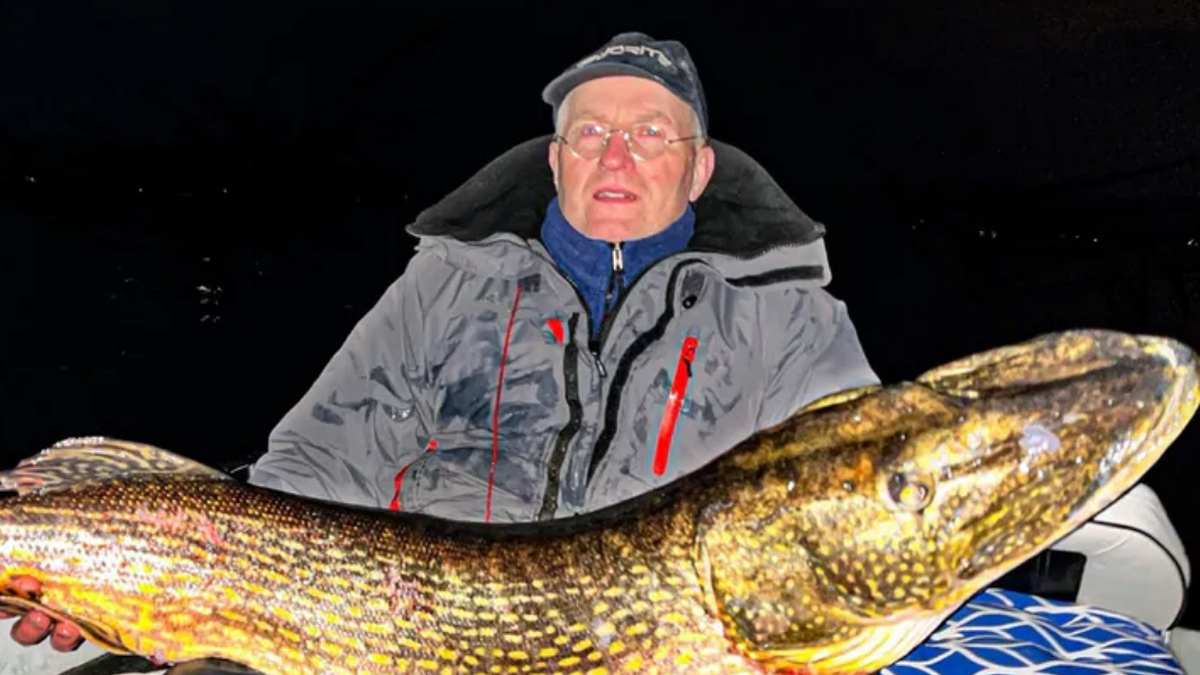 Wielka ryba, wielka awantura