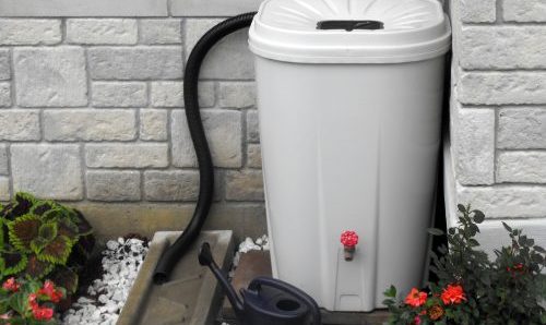 Zapotrzebowanie na beczki na deszczówkę w Toronto przerosło oczekiwania – będzie dopłata