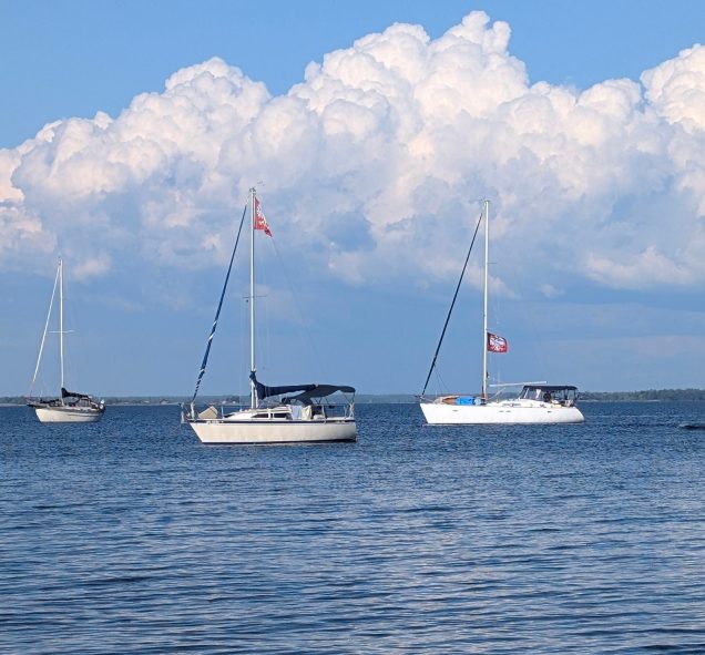 Sezon żeglarski Klubu Biały Żagiel rozpoczęty na malowniczym Georgian Bay
