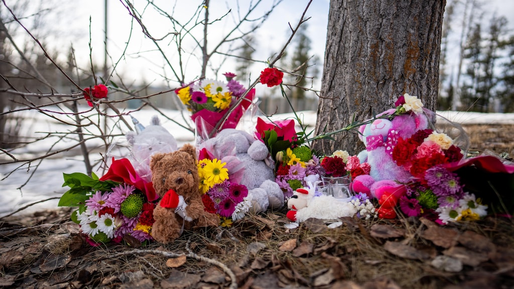 Kolumbia Brytyjska rozważa kroki prawne po tragediiw Tumbler Ridge