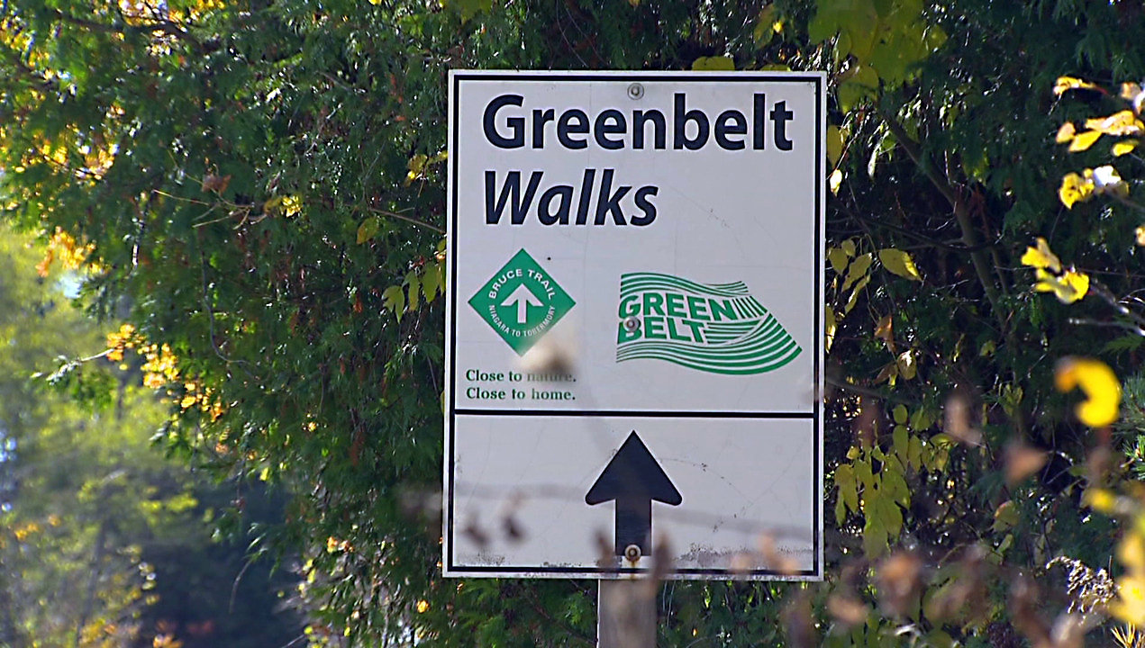 Deweloper przegrał batalię o ziemię na terenie Greenbelt