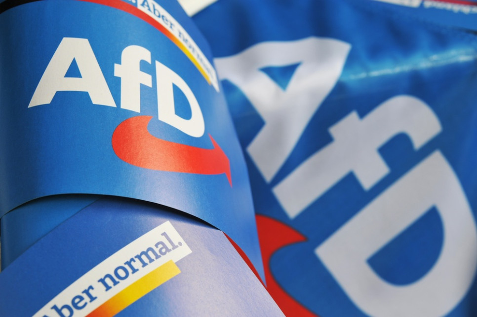 Aktor porno, złodziej pościeli i agent Stasi wśród posłów AfD
