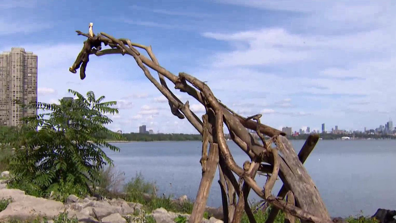 Artysta tworzy rzeźby na plaży, Toronto je rozbiera