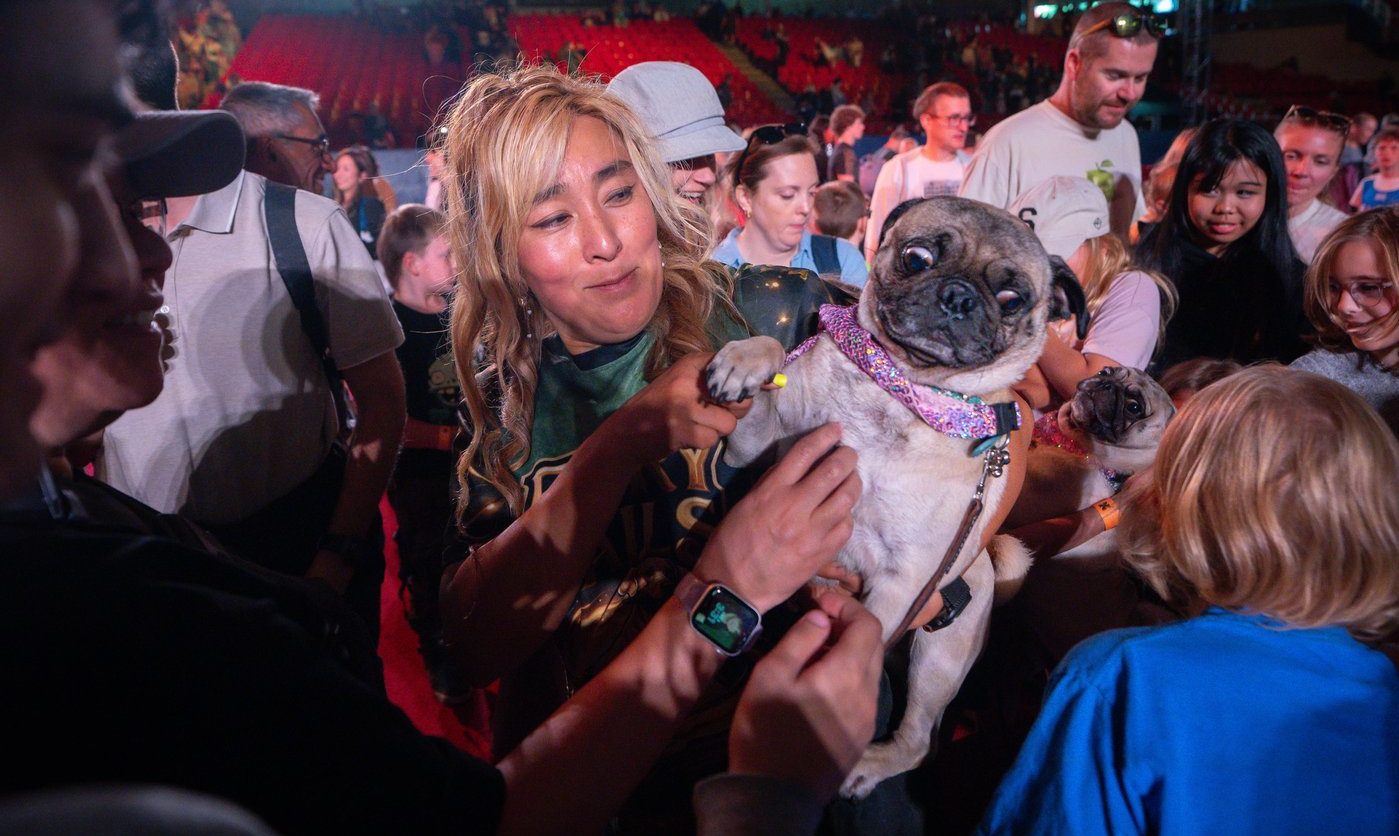 SuperDogs mają już 50 lat