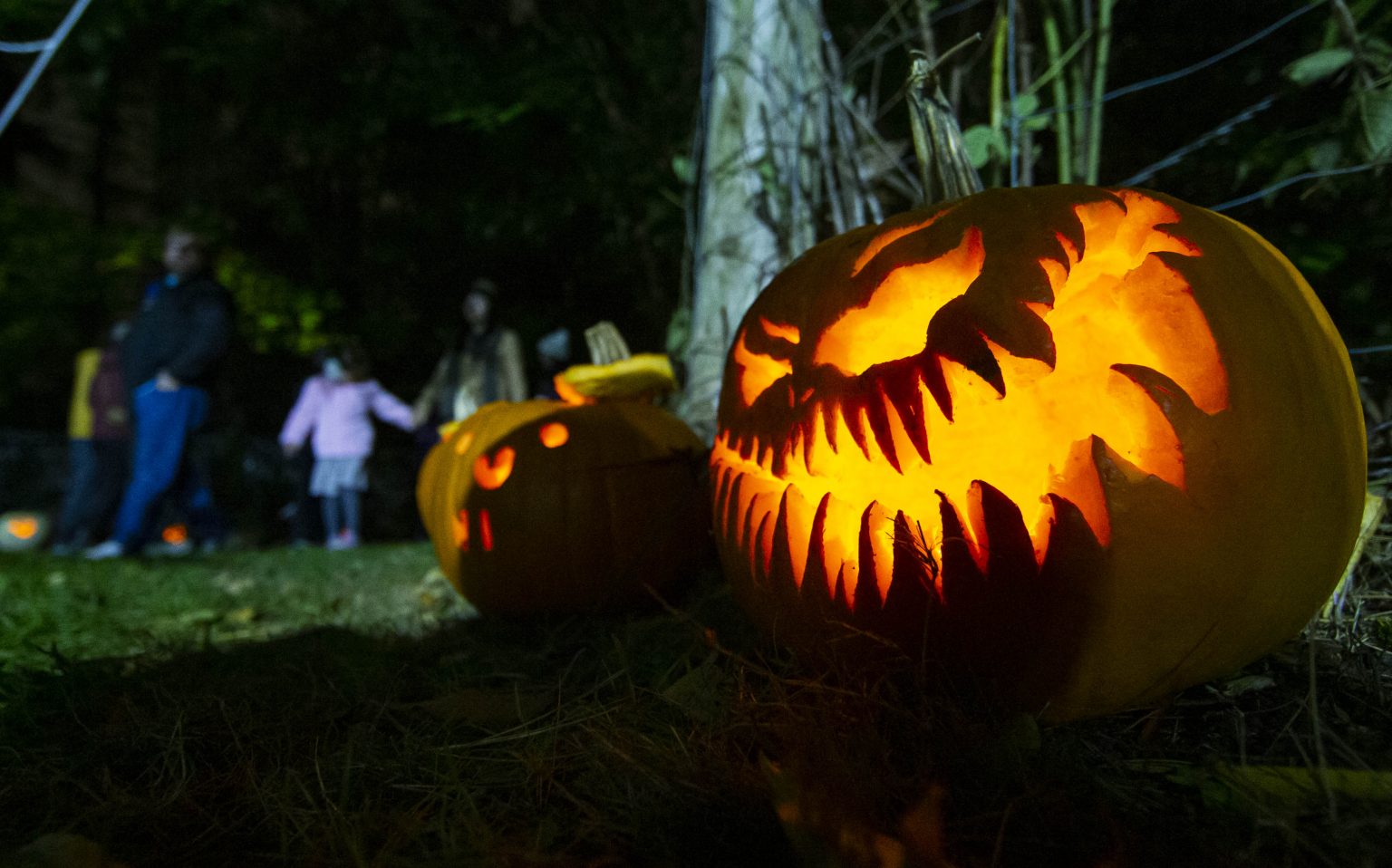 Halloween bez deszczu i mrozu