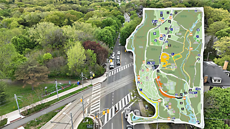 High Park bez samochodów? Spór przed wyborami